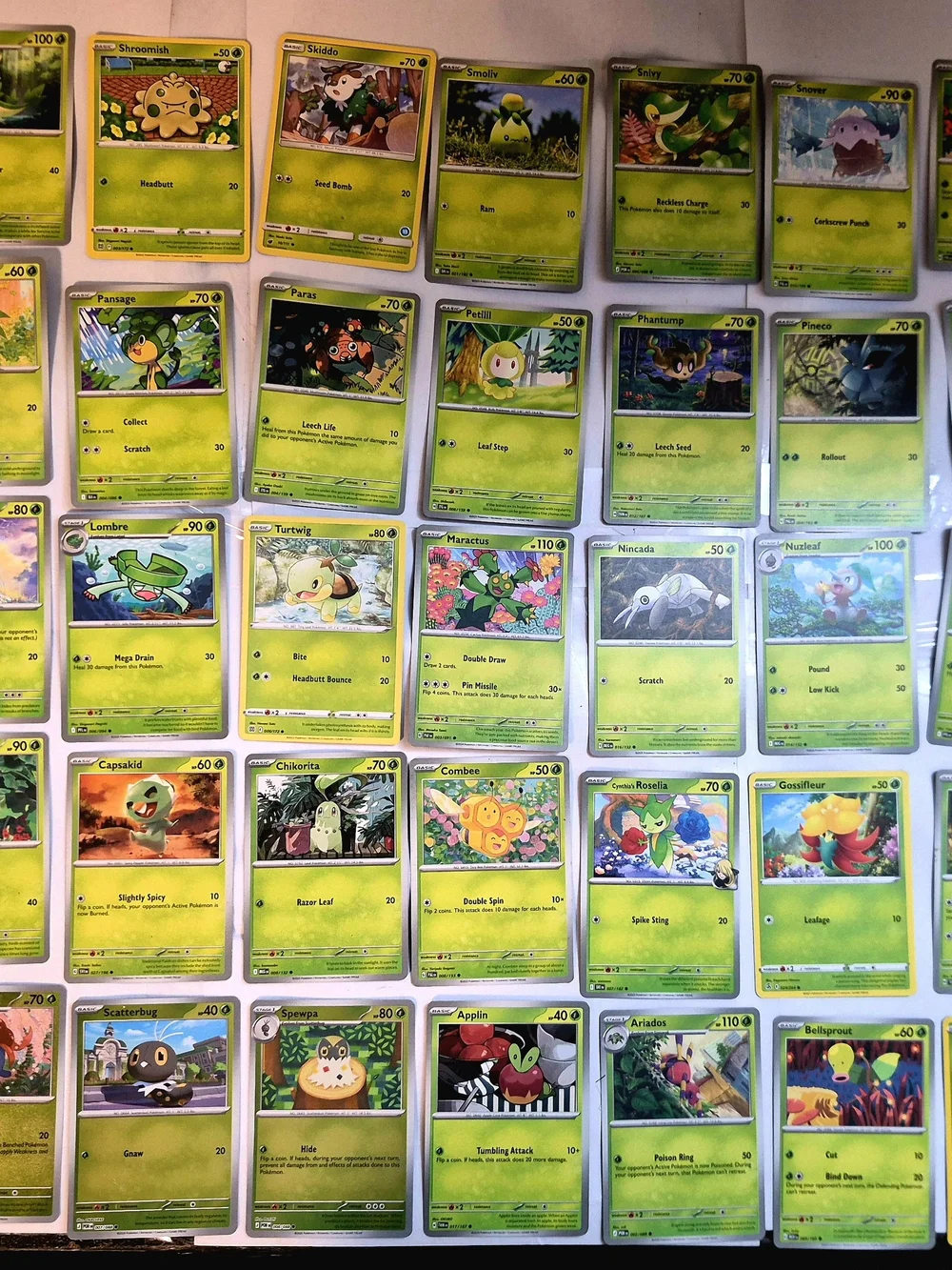 Pokémon Card Lot 100+ Grass Type Bundle Teal Mask Ogerpon ex Cyclizar